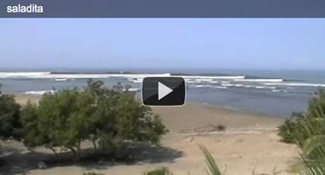 Surf Saladita: Play Video